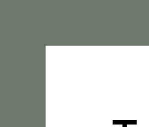 Type 4